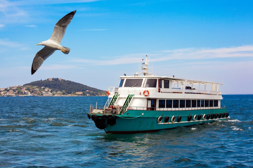 Istanbul: Bosphorus Strait Sightseeing Cruise & Audio Guide - 1