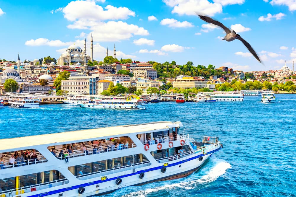 Istanbul: Bosphorus Strait Sightseeing Cruise & Audio Guide - 3