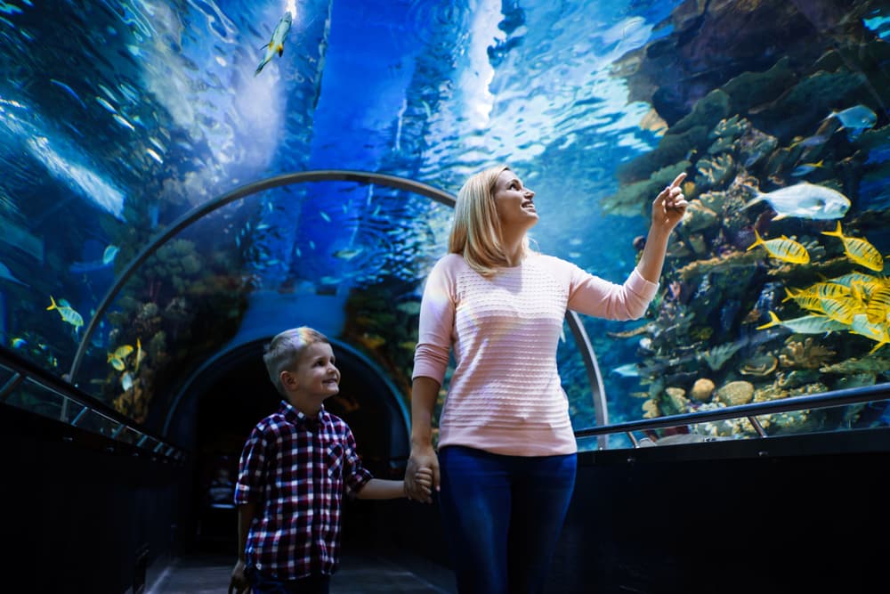 Antalya: Aquarium and Wax Museum Entry Ticket - 0