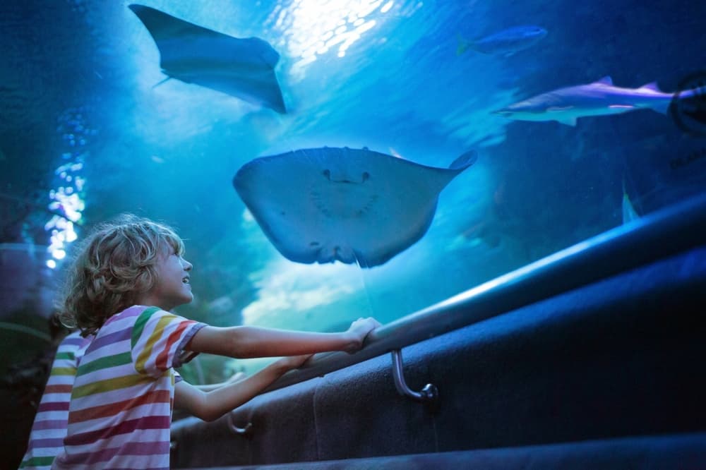 Antalya: Aquarium and Wax Museum Entry Ticket - 3