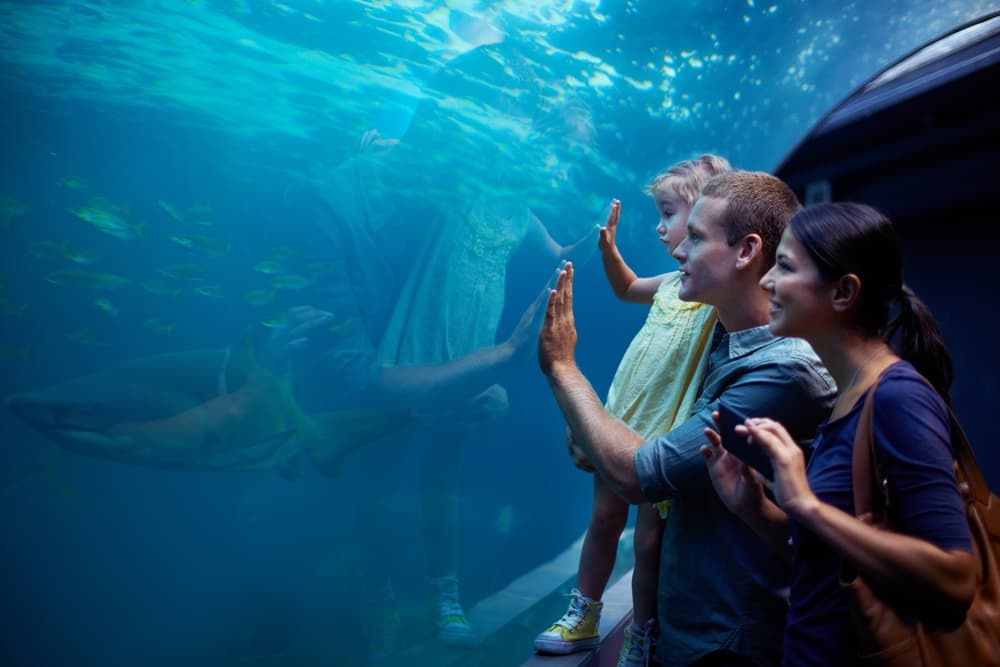 Antalya: Aquarium and Wax Museum Entry Ticket - 2