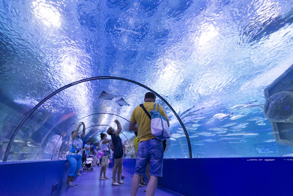Antalya: Aquarium and Wax Museum Entry Ticket - 1