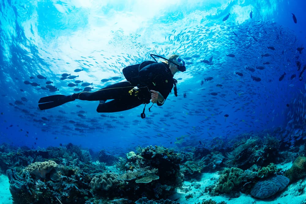 Antalya/Kemer: Scuba Diving Experience with 2 Dives & Lunch - 0