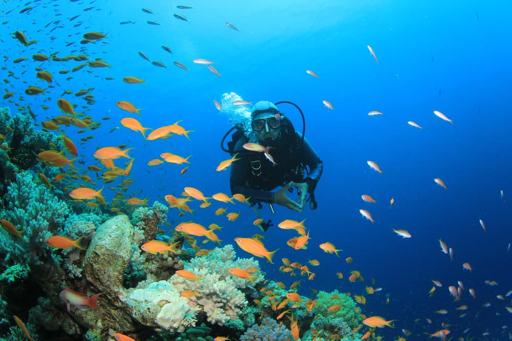 Antalya/Kemer: Scuba Diving Experience with 2 Dives & Lunch - 4
