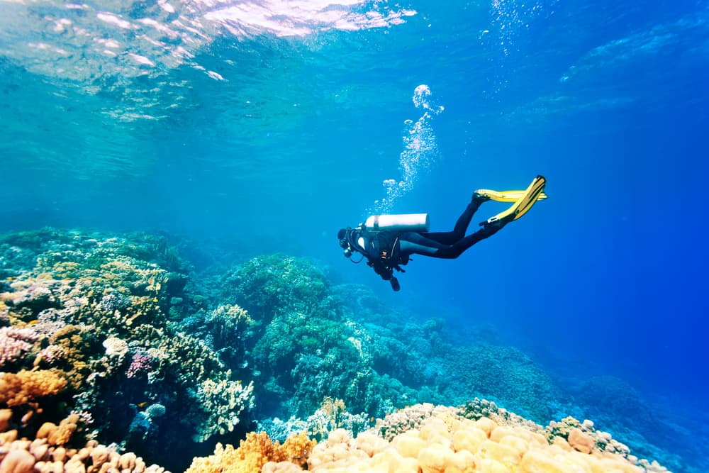 Antalya/Kemer: Scuba Diving Experience with 2 Dives & Lunch - 5