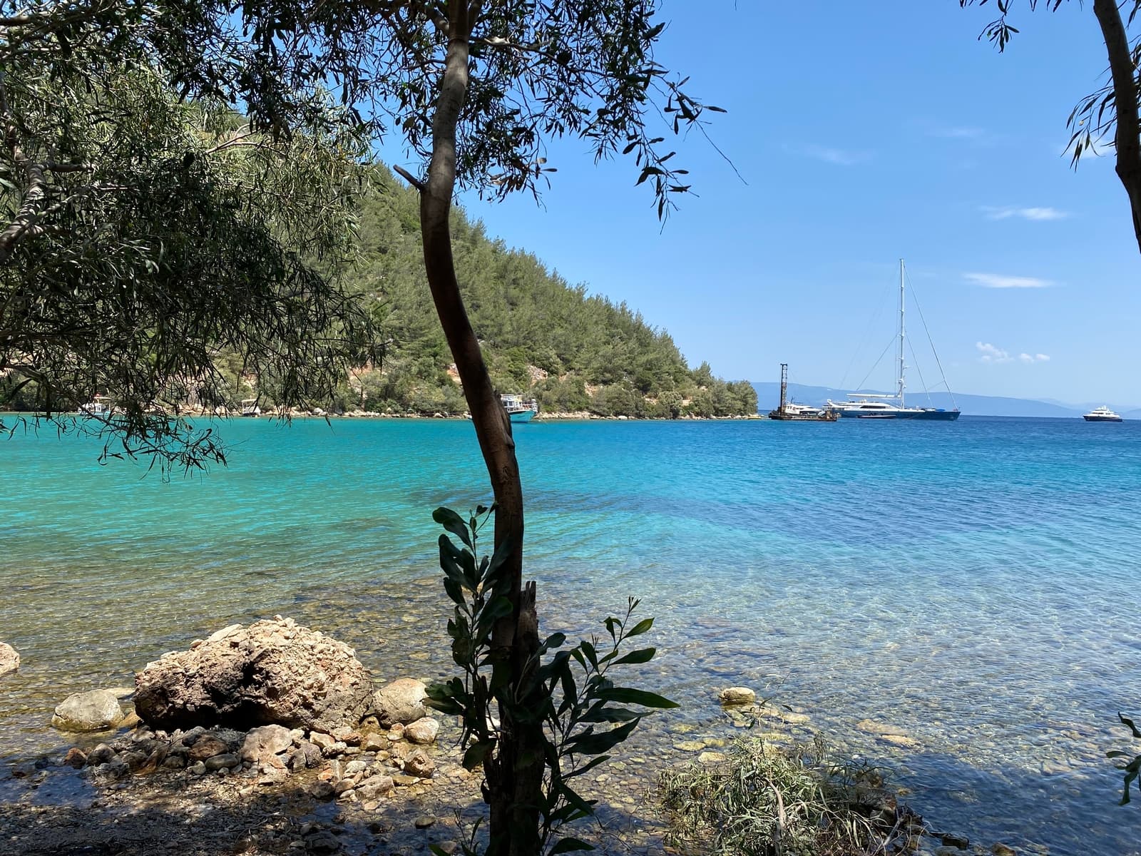 Bodrum: Orak Island, German Bay, Rabbit Bay Tour incl. Lunch - 2