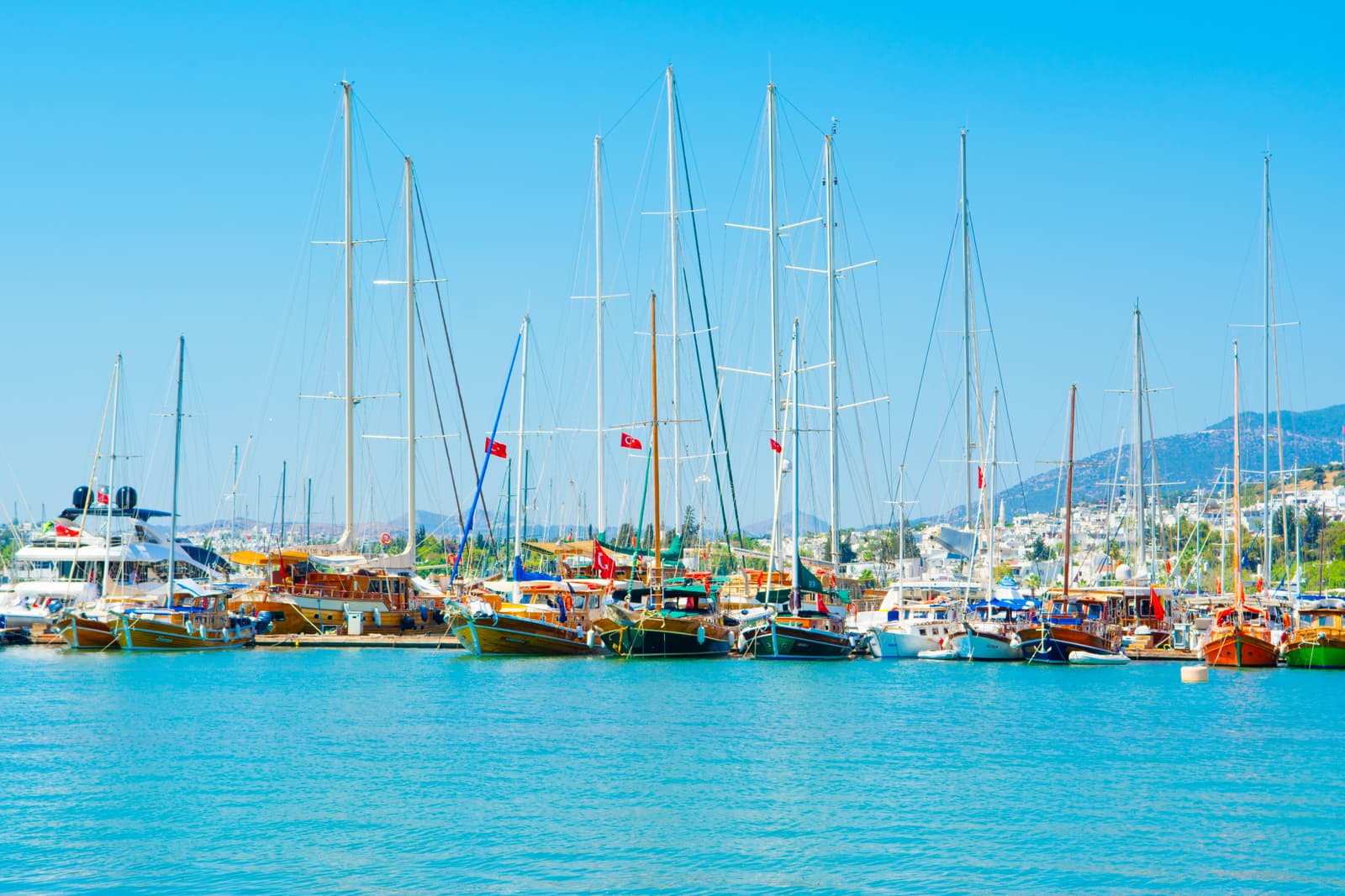 Bodrum: Orak Island, German Bay, Rabbit Bay Tour incl. Lunch - 3