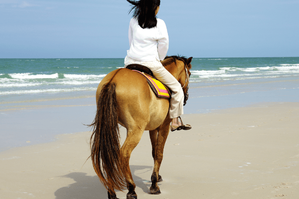 Bodrum: Horseback Riding Experience with Hotel Transfer 3