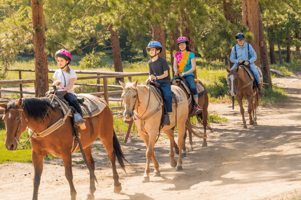 Kusadasi: Horse Riding Beach and Forest w/Transfer 2