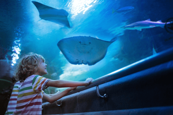 Antalya: Aquarium and Wax Museum Entry Ticket 4