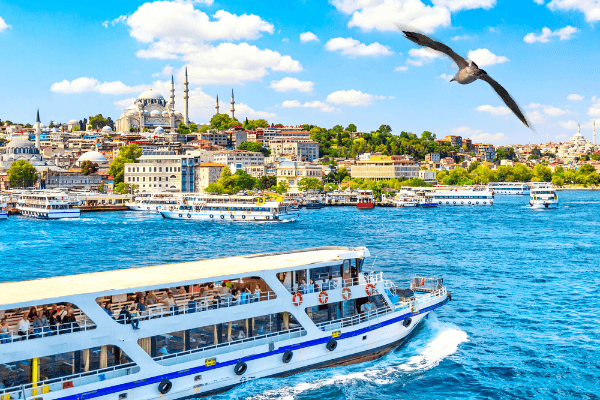 Istanbul: Bosphorus Strait Sightseeing Cruise & Audio Guide 4