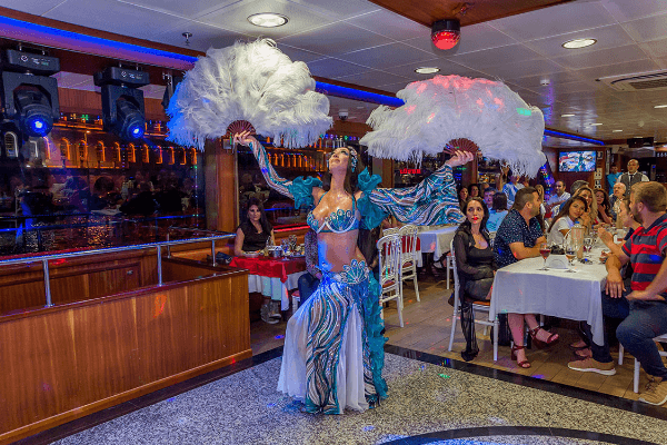 Istanbul: Bosphorus Dinner Cruise Incl. Drinks with Transfer 3