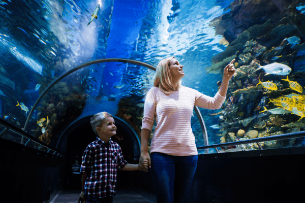 Antalya: Aquarium and Wax Museum Entry Ticket