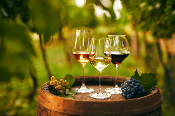 Cappadocia Wine Tasting Experience 3