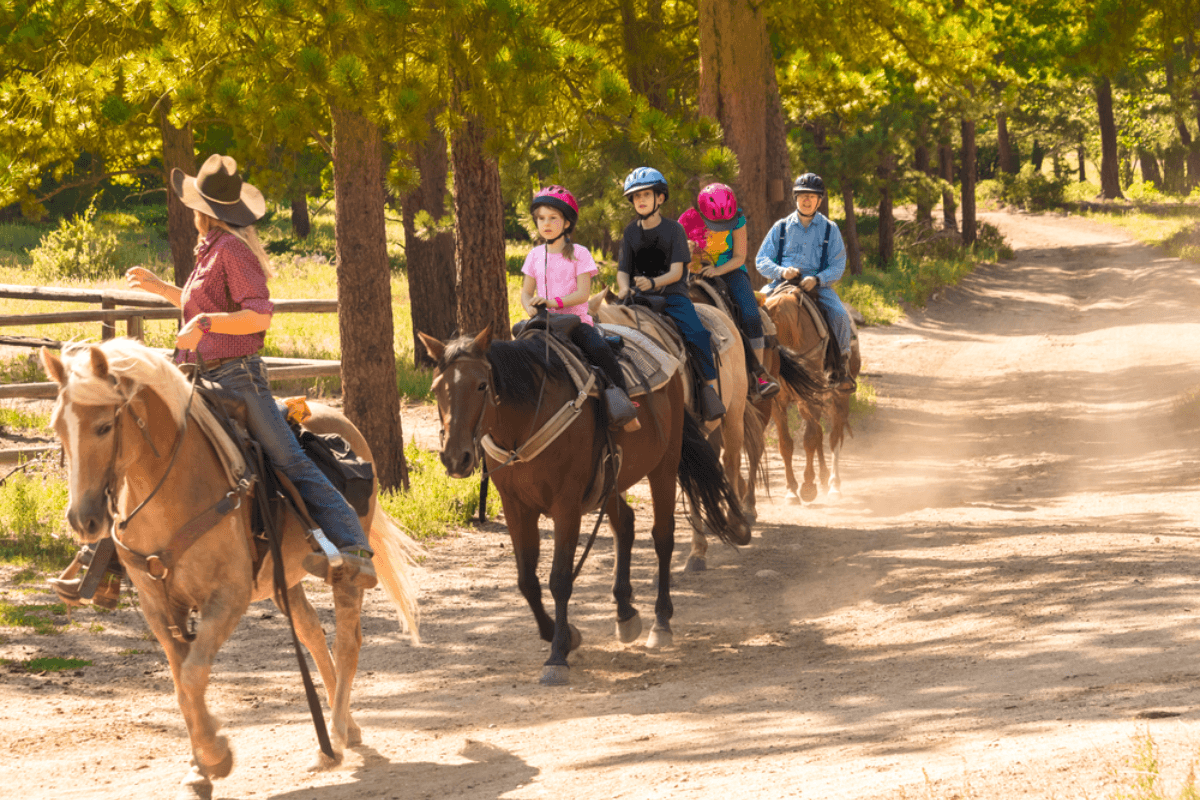 Kusadasi: Horse Riding Beach and Forest w/Transfer 3