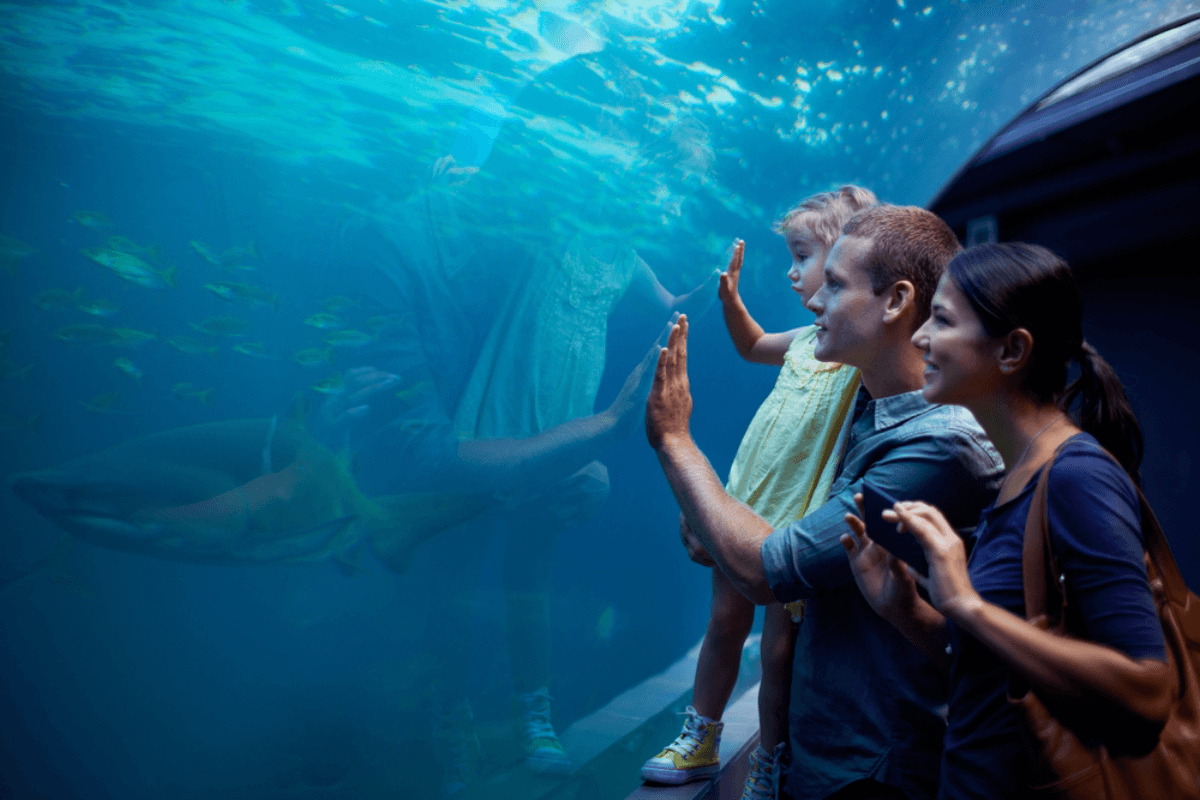 Antalya: Aquarium and Wax Museum Entry Ticket - photo 3