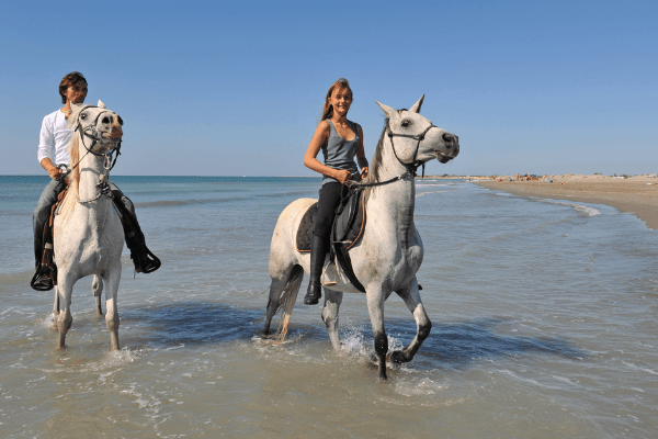 Bodrum: Horseback Riding Experience with Hotel Transfer 2